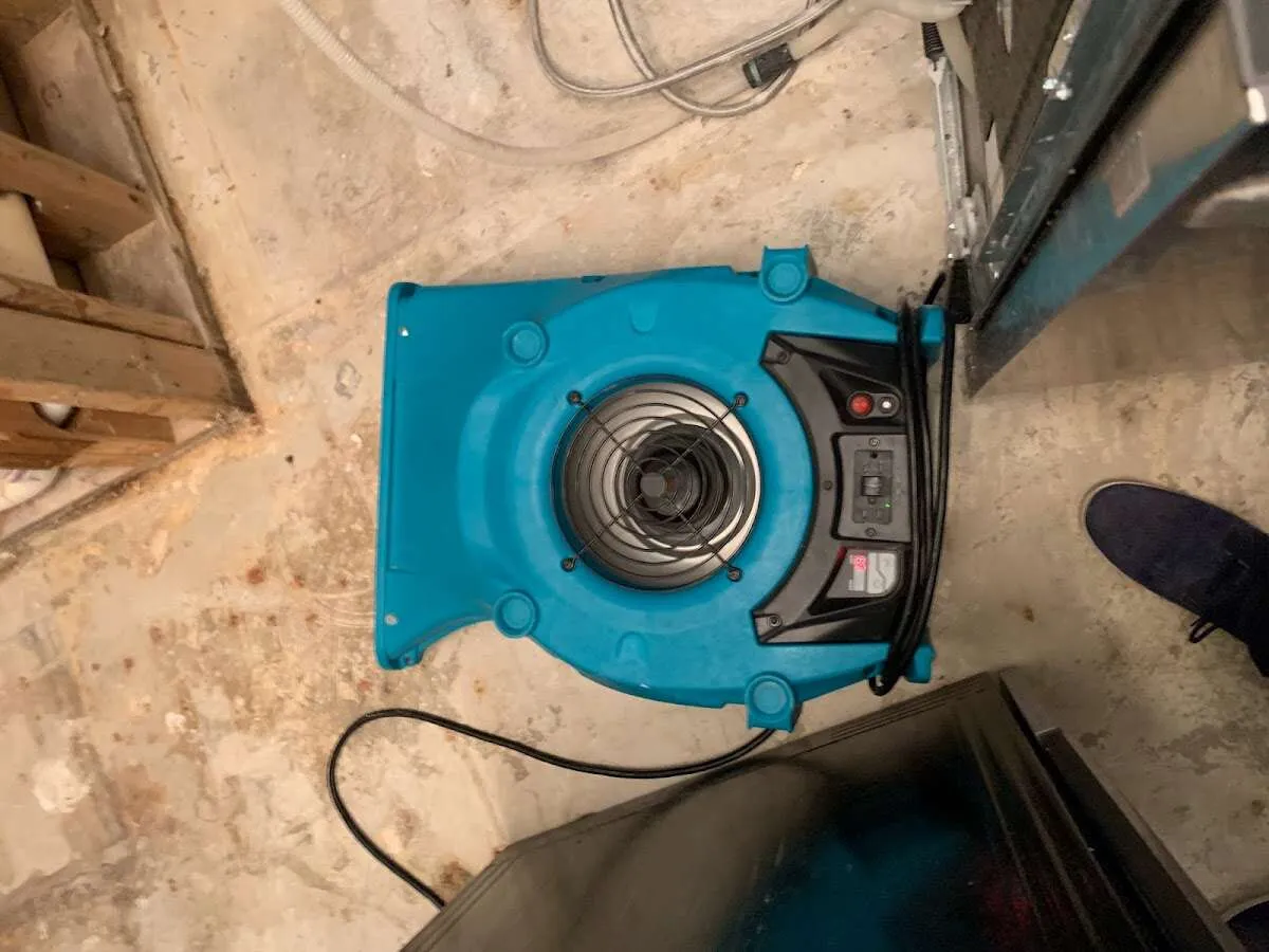 Air mover drying equipment for Mold Remediation & Removal in Brook Highland